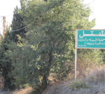 مركز هيئة حماية البيئة والتراث الجديد