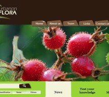 اطلاق موقع إلكتروني حول النباتات اللبنانية في جامعة القديس يوسف