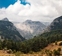 التجمع اللبناني لحماية البيئة يؤكد على ضرورة إقرار قانون المحميات الطبيعية