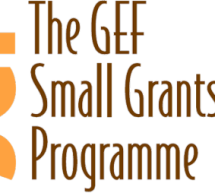دعوة لتقديم طلبات لتمويل مشاريع بيئية للجمعيات Small Grant Program – 2016