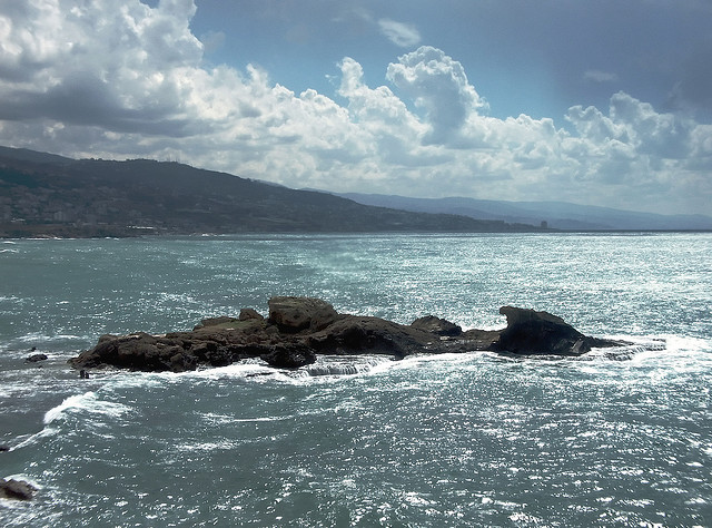 Grant to protect coastal biodiversity