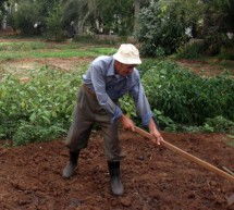 The Small Grants programme in Lebanon