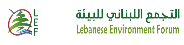 Lebanese Environment Forum