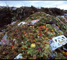 FAO: Food Waste harms all natural resources