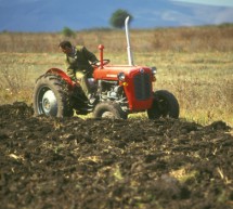 FAO: 2014 will be the International Year of Family Farming